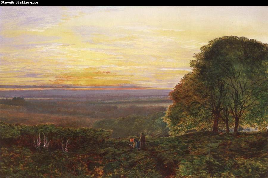 Atkinson Grimshaw Sunset from Chilworth Common